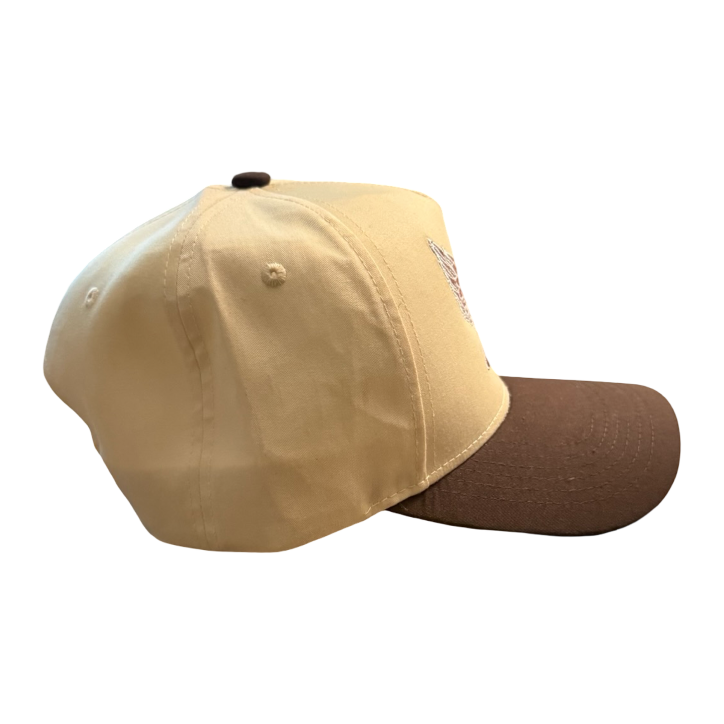 Cream and Dark Brown Snapback